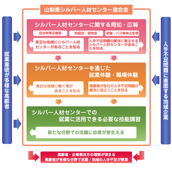 高齢者活躍人材確保育成事業